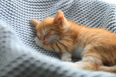 Photo of Sleeping cute little red kitten on light blue blanket