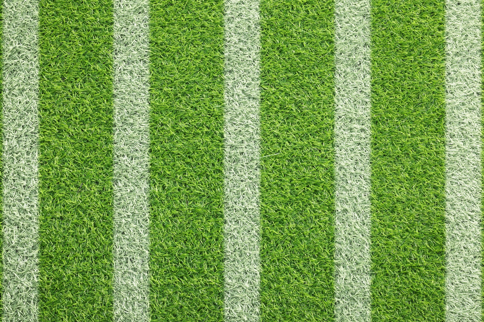 Image of Green grass with white markings, top view