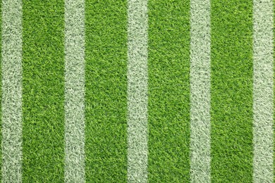 Image of Green grass with white markings, top view