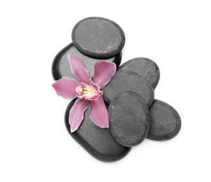 Beautiful orchid flower and spa stones on white background, top view