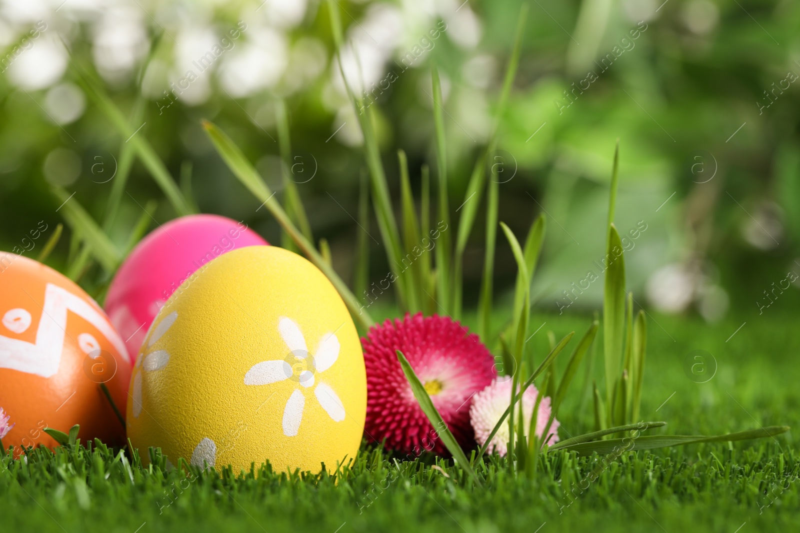 Photo of Colorful Easter eggs and daisy flower in green grass, closeup. Space for text