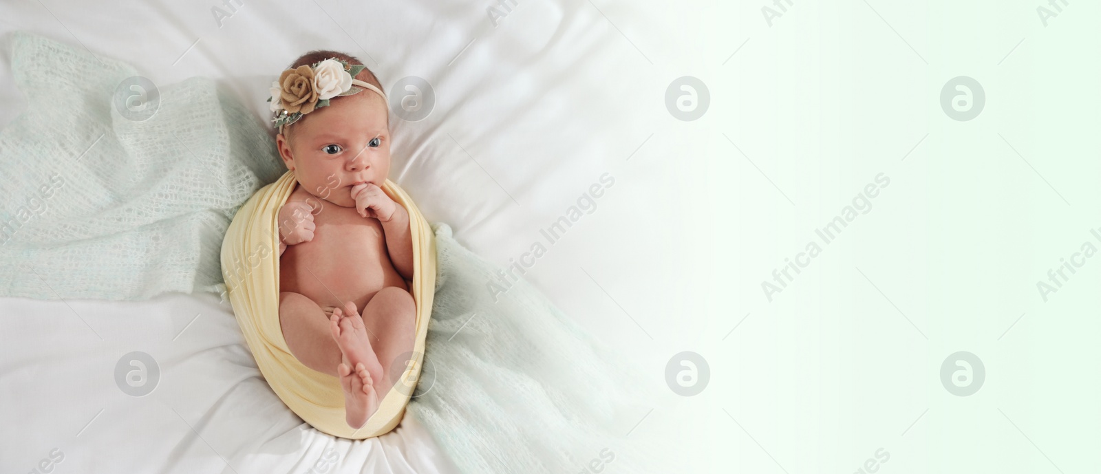 Image of Adorable newborn baby on bed, top view with space for text. Banner design