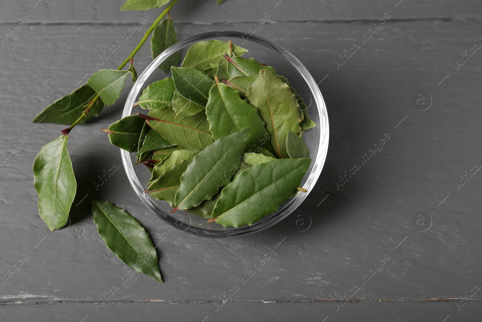 Photo of Fresh green bay leaves in bowl on gray wooden table, top view