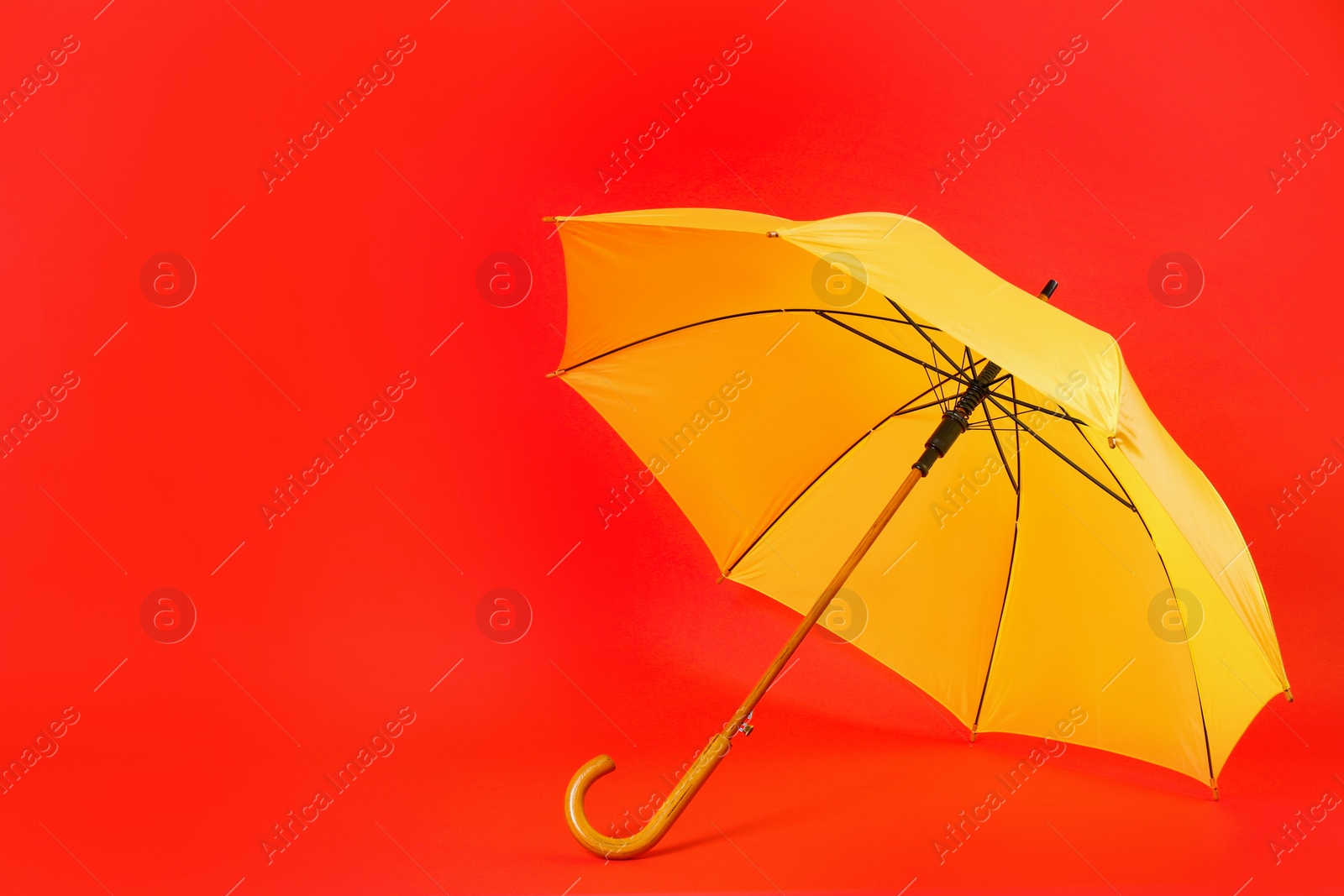 Photo of Beautiful yellow umbrella on red background. Space for text