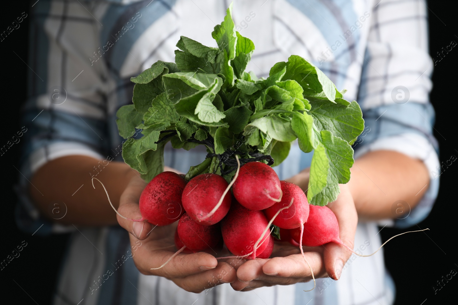 Photo of Farmer holding fresh ripe radish, closeup view