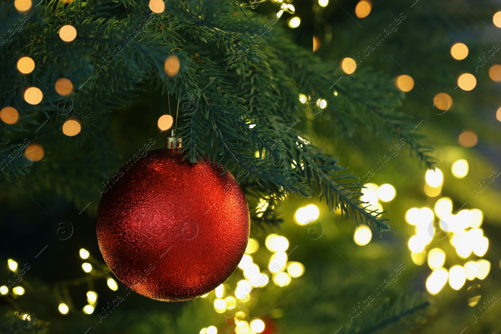 Photo of Christmas tree decorated with red festive ball and lights, closeup