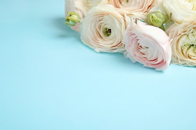Photo of Ranunculus flowers on color background, space for text