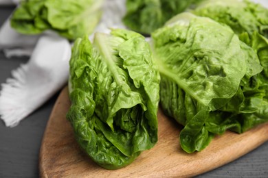 Photo of Fresh green romaine lettuces on grey wooden table, closeup