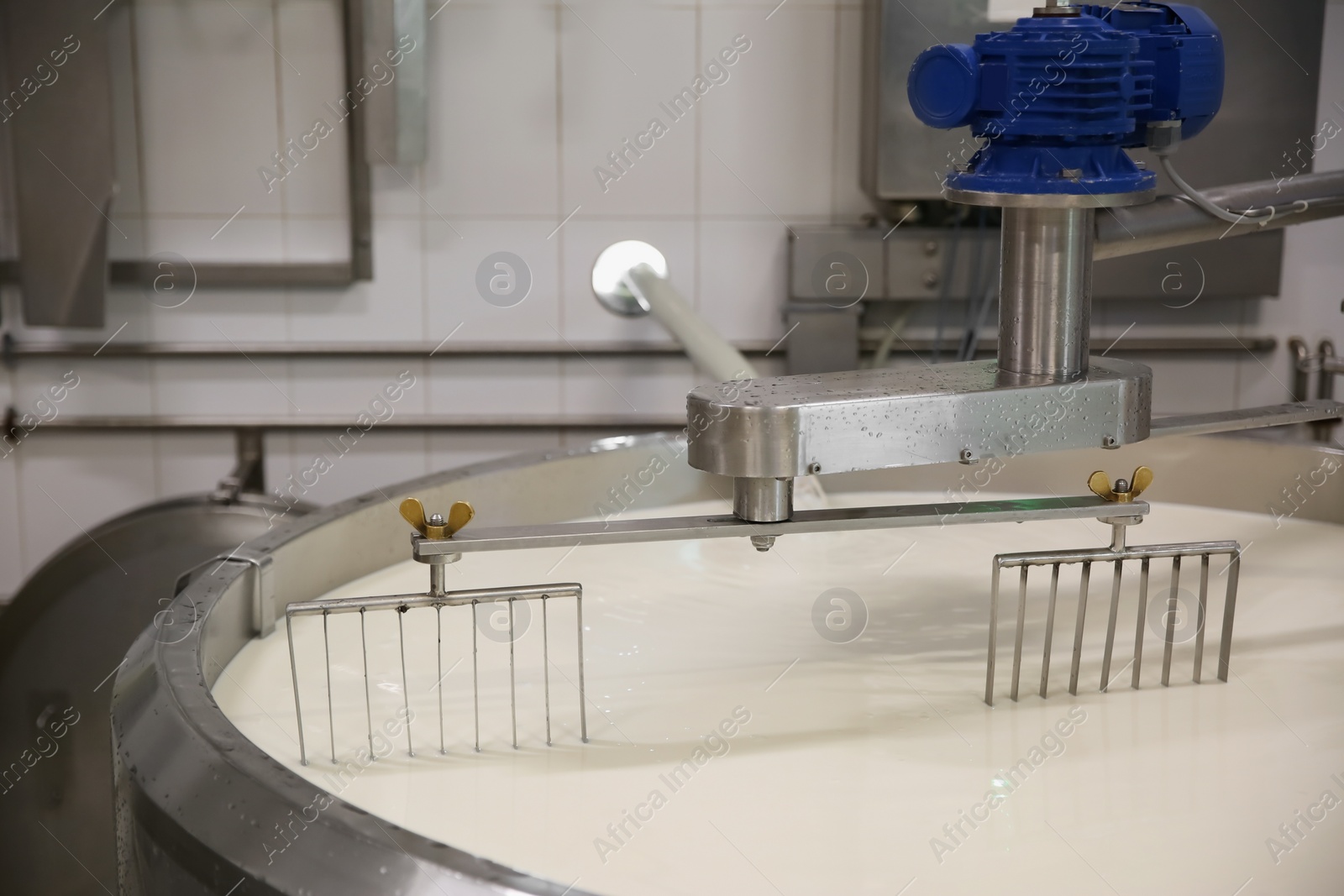 Photo of Milk in curd preparation tank at cheese factory