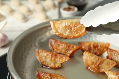 Cooking gyoza on frying pan with hot oil in kitchen, closeup