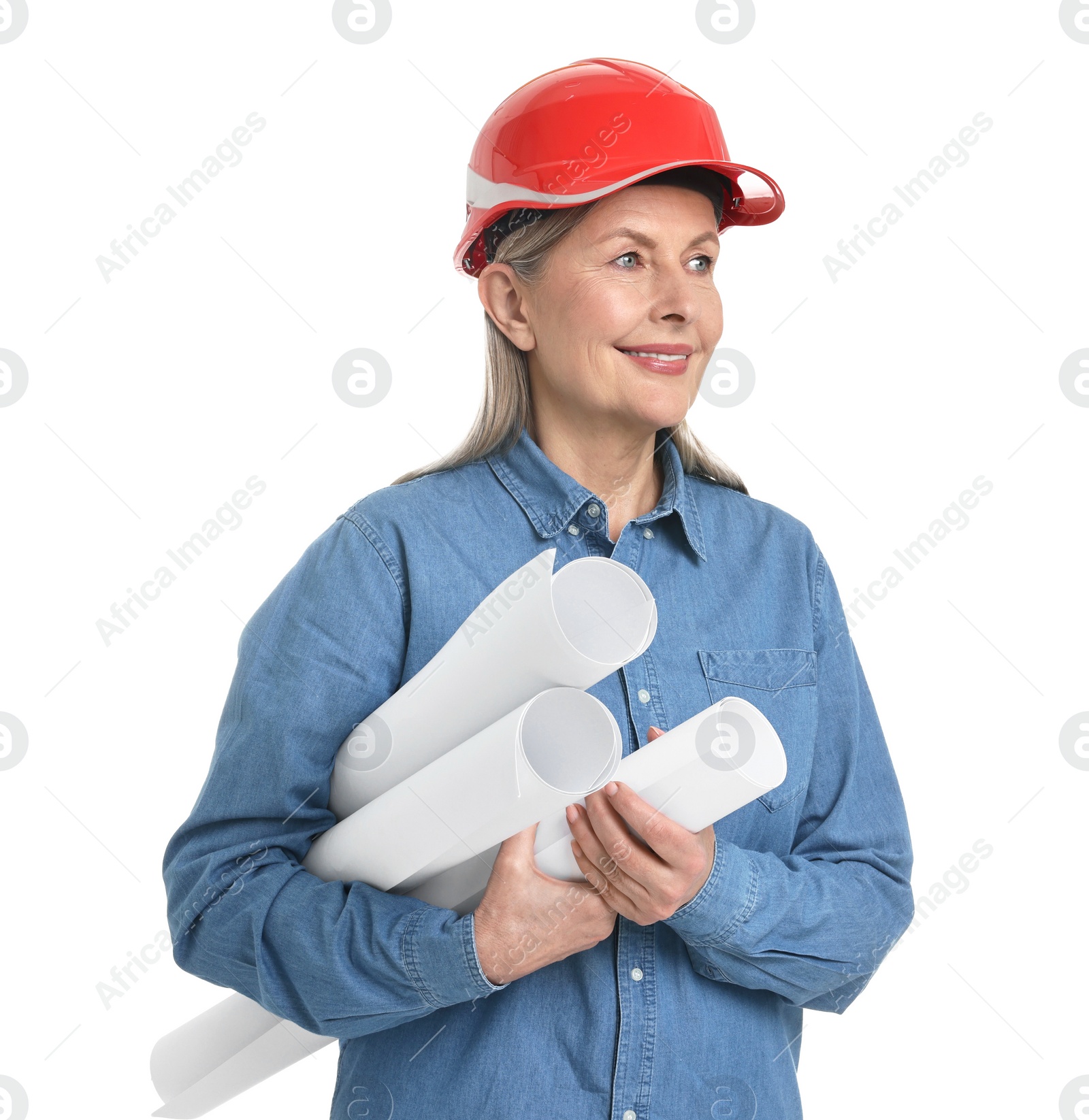 Photo of Architect in hard hat with drafts on white background