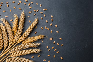 Photo of Ears of wheat and grains on black table., flat lay Space for text