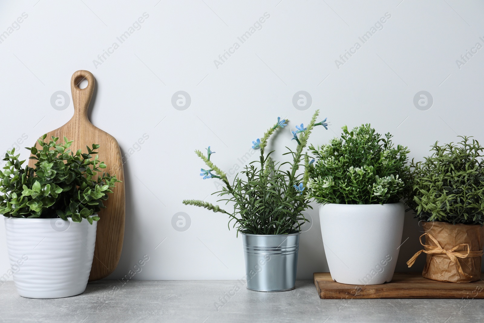 Photo of Different artificial potted herbs on light grey table