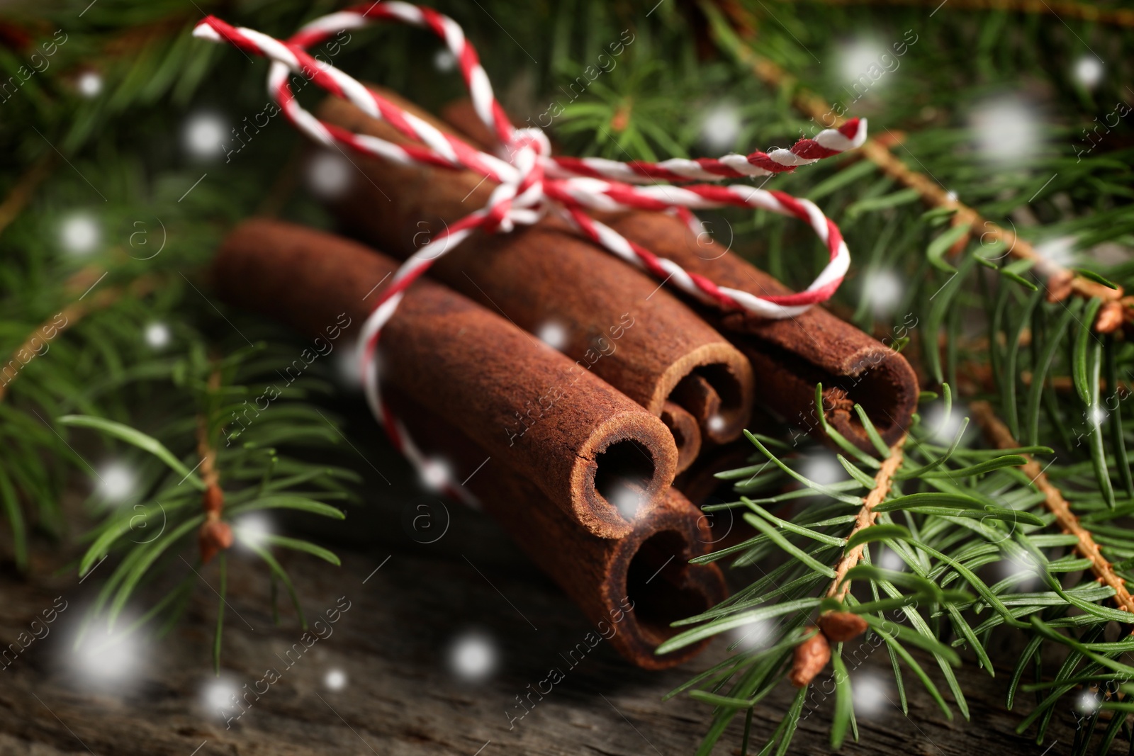 Image of Cinnamon sticks and fir tree branches on wooden table, closeup