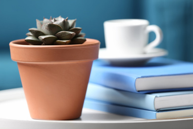 Beautiful succulent and books on white table indoors, closeup. Home plant