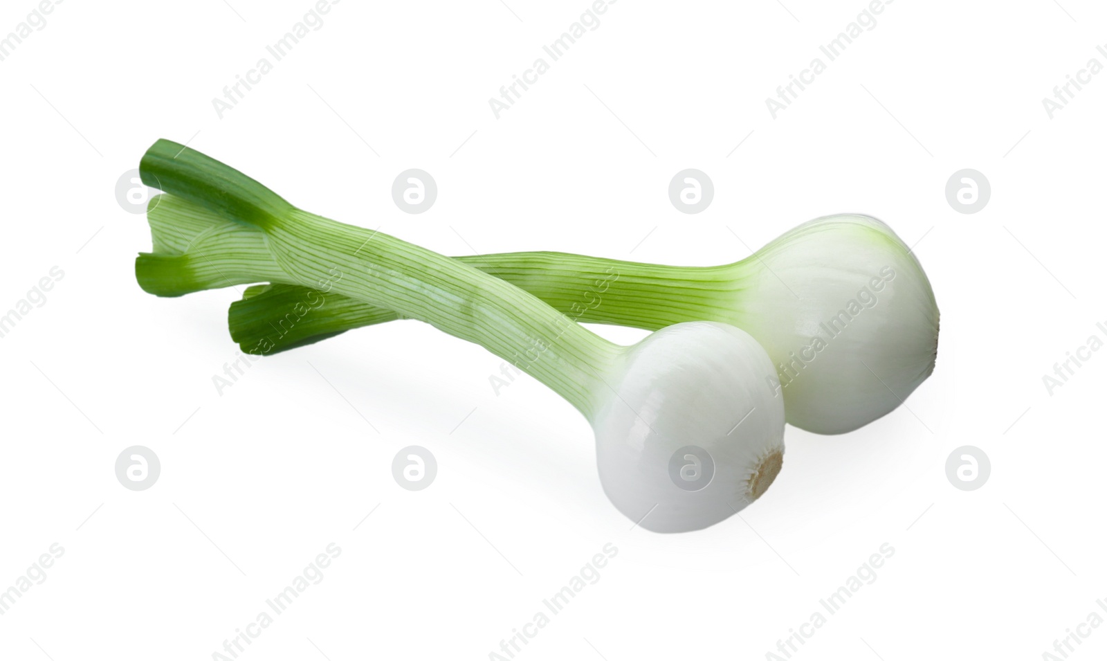 Photo of Whole green spring onions isolated on white