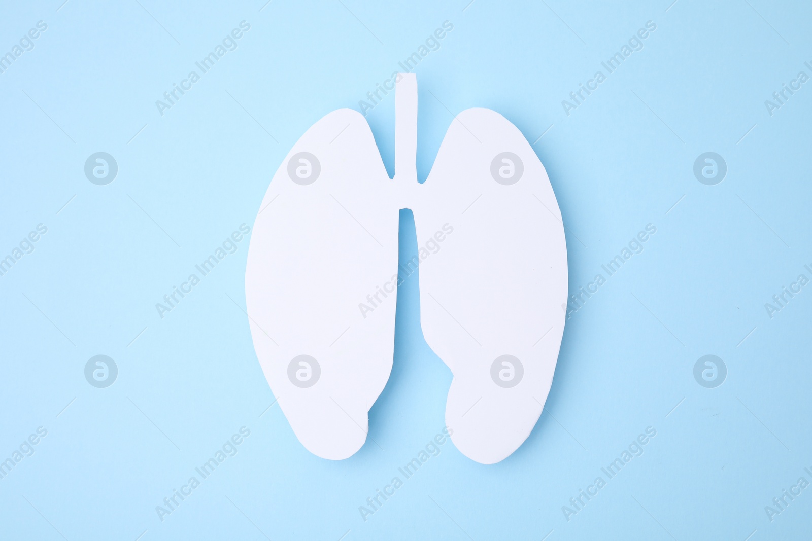 Photo of No smoking concept. Paper lungs on light blue background, top view