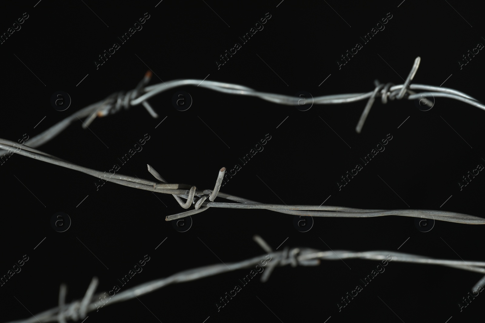 Photo of Shiny metal barbed wire on black background, closeup