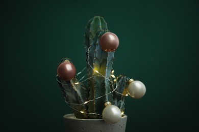 Beautiful cactus with Christmas balls and festive lights  on green background, closeup