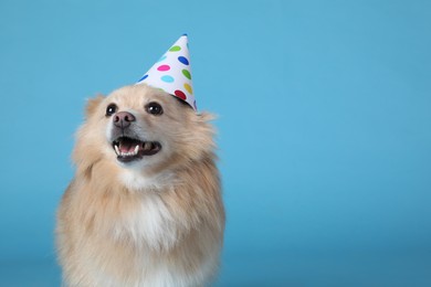 Cute dog with party hat on light blue background, space for text. Birthday celebration