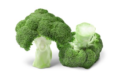 Fresh green broccoli on white background. Edible plant