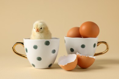 Photo of Cute chick with cups, eggs and pieces of shell on beige background, closeup. Baby animal