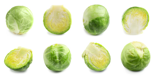 Image of Set of cut and whole Brussels sprouts on white background, banner design 
