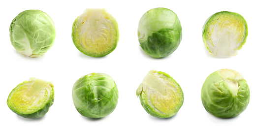 Set of cut and whole Brussels sprouts on white background, banner design 