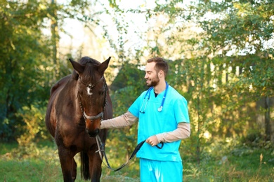 Veterinarian in uniform with beautiful brown horse outdoors