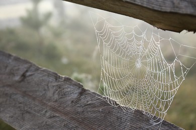 Photo of Beautiful spiderweb with dew between wooden planks outdoors, closeup