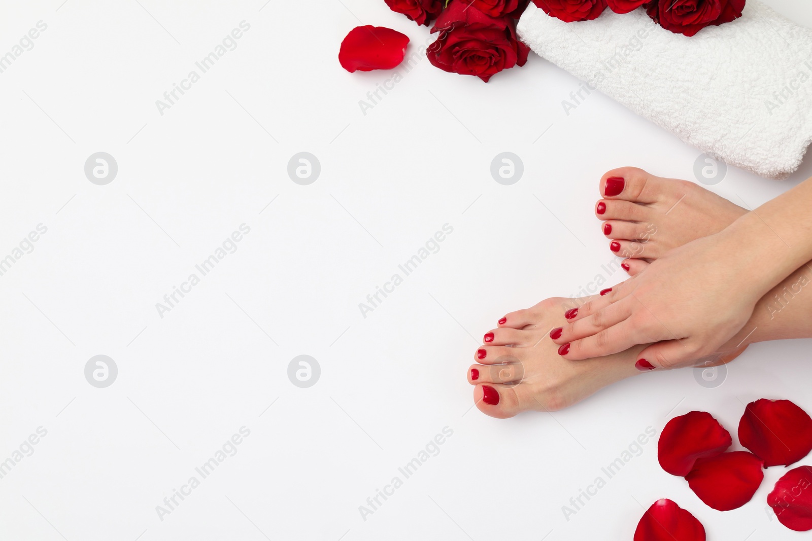 Photo of Woman with stylish red toenails after pedicure procedure and rose flowers on white background, top view. Space for text