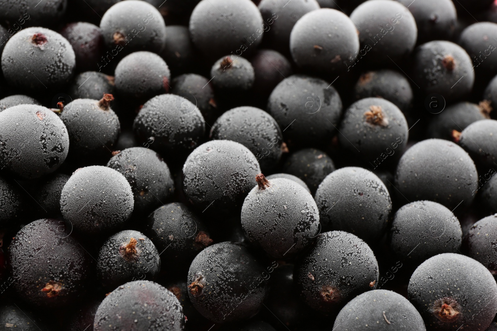 Photo of Tasty frozen black currants as background, closeup view