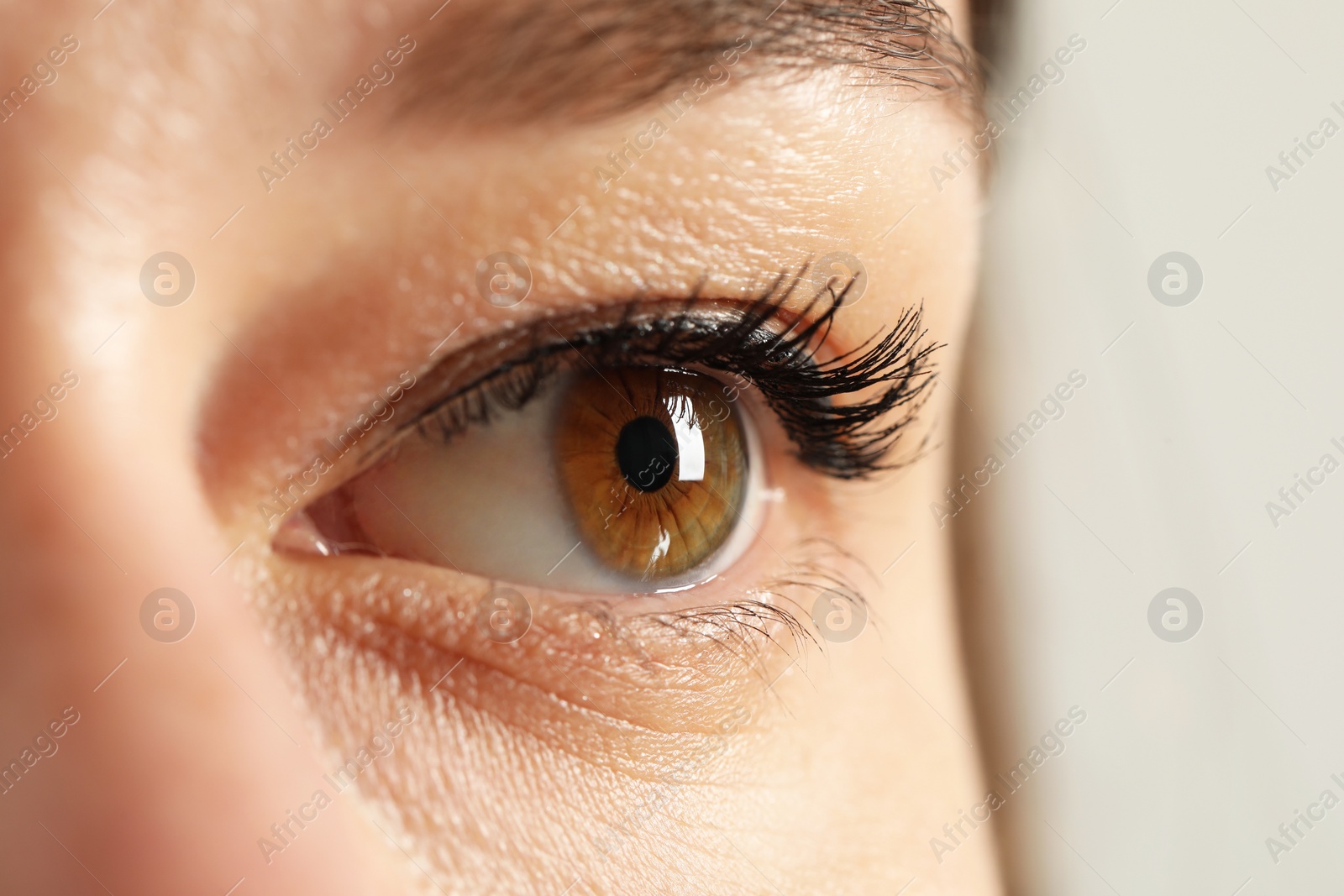 Photo of Macro photo of woman with beautiful eyes on light background