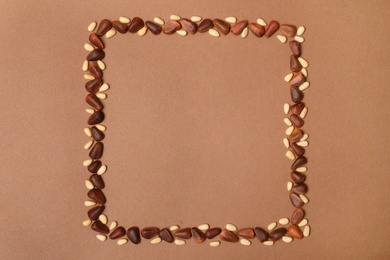 Photo of Frame made with pine nuts and space for text on color background, top view