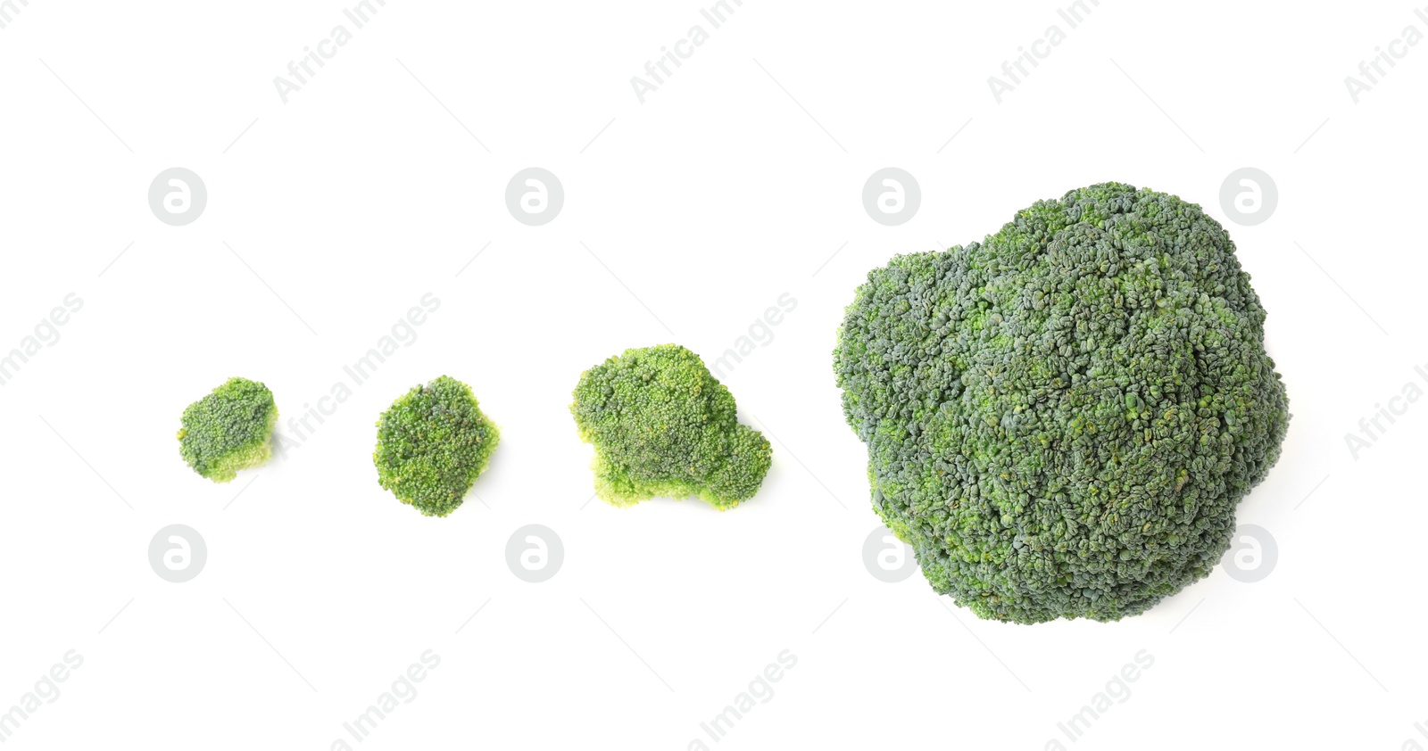 Flat lay composition with fresh green broccoli on light background Photo of Flat lay composition with fresh green broccoli on light background