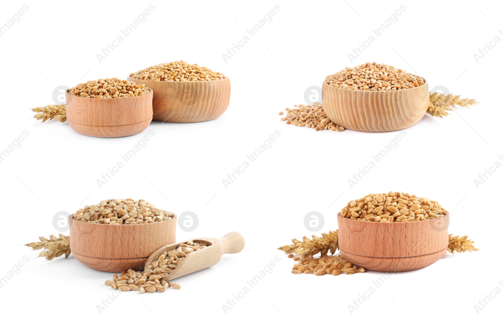 Image of Set with bowls of wheat grains on white background