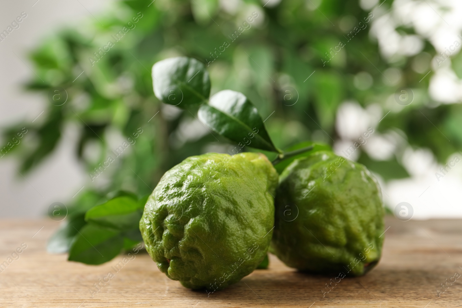 Photo of Fresh ripe bergamot fruits with green leaves on wooden table against blurred background