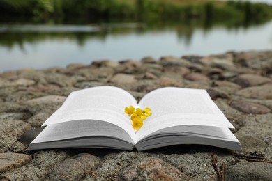 Photo of Open book with yellow flowers on stones near river