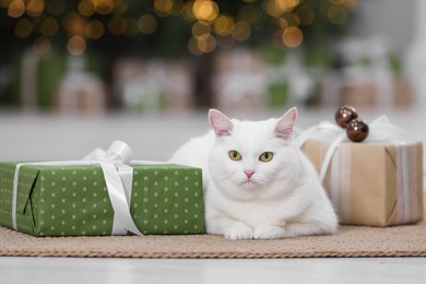 Photo of Christmas atmosphere. Adorable cat lying between gift boxes on carpet in cosy room