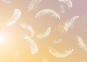 Image of Fluffy bird feathers falling on pale yellow background