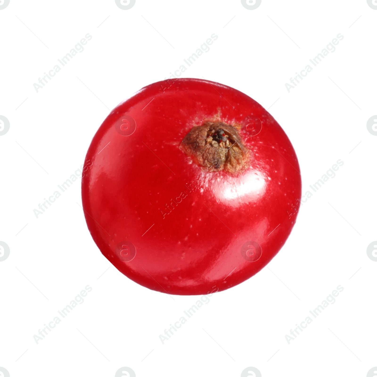 Photo of One ripe red currant isolated on white