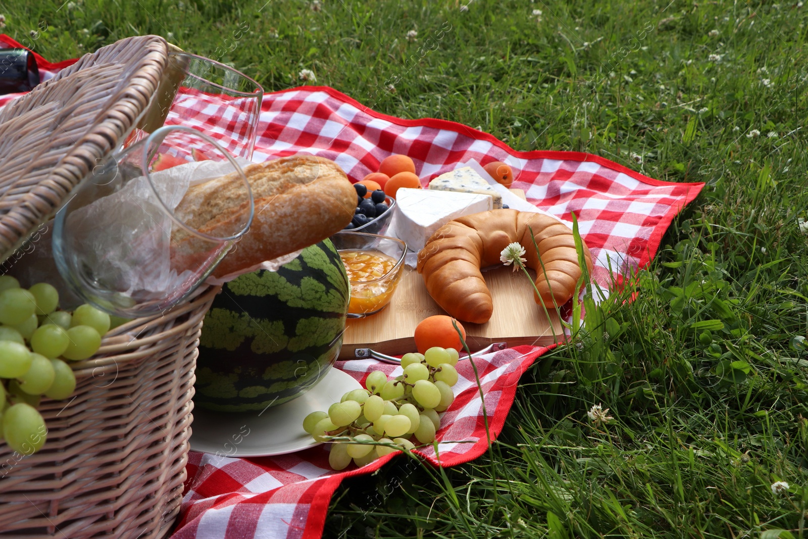 Photo of Picnic blanket with delicious food outdoors on summer day