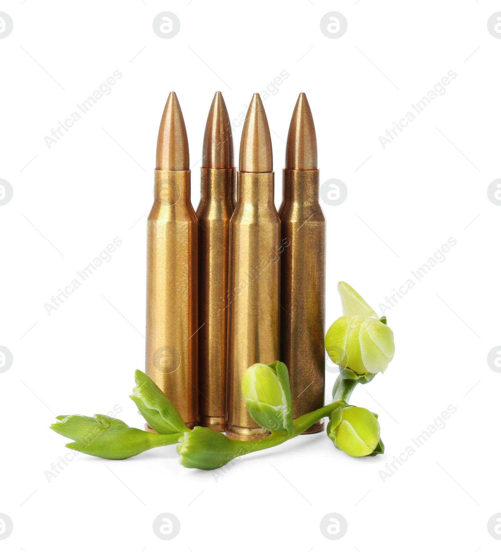 Photo of Bullets and beautiful flowers isolated on white