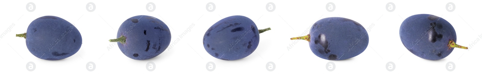 Image of Delicious fresh dark blue grapes isolated on white, set