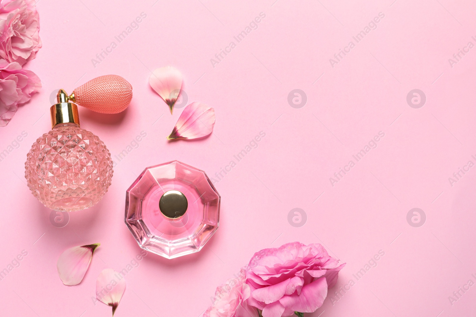 Photo of Flat lay composition with perfume bottles and flowers on light pink background, space for text