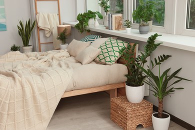Photo of Stylish bedroom interior with beautiful house plants. Home design idea