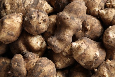 Many fresh Jerusalem artichokes as background, closeup