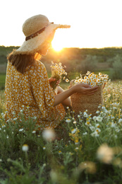 Photo of Woman with straw hat and handbag full of chamomiles resting in meadow