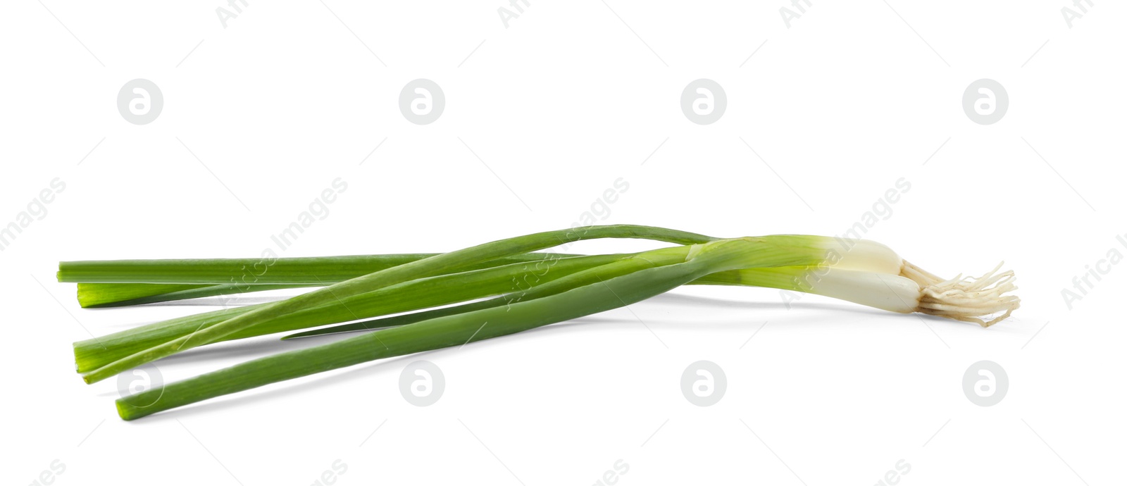 Photo of Fresh green spring onions on white background