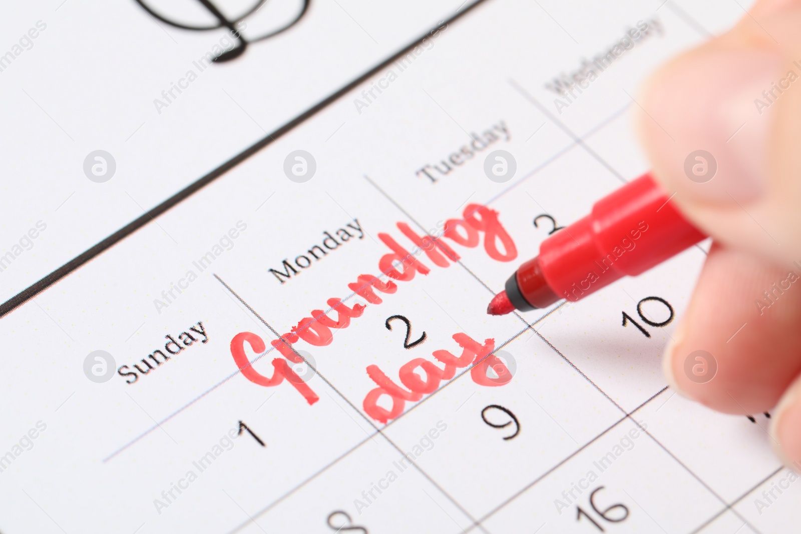 Photo of Woman marking date of Groundhog day in calendar, closeup